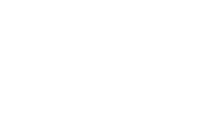 BlackBirdie Logo
